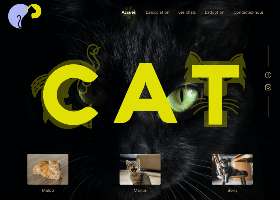 Web Design éco pour une association de chats