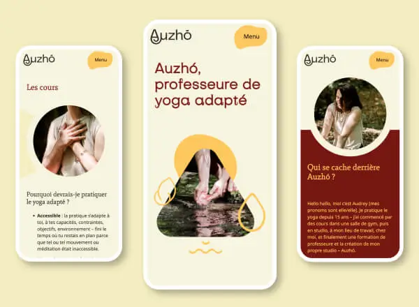 img projet web auzho