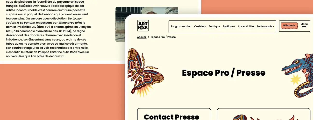 Bandeau projet site art rock david daumer